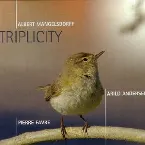 Pochette Triplicity