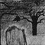 Pochette My Tomb - Promo I