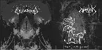 Pochette The Art ov Blasphemies / Nekrosimon