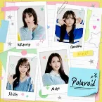Pochette Polaroid
