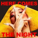 Pochette Here Comes the Night