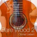 Pochette Bare Wood 2