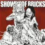 Pochette Shower of Bricks