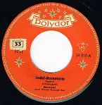 Pochette Jodel-Rosemarie