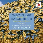 Pochette Franz Schmidt: Symphony No. 2 / Richard Strauss: Dreaming By The Fireside