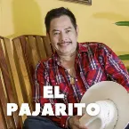 Pochette El Pajarito