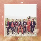 Pochette Toy
