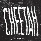 Pochette CHEETAH ITSELF