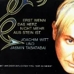 Pochette Erst wenn das Herz nicht mehr aus Stein ist