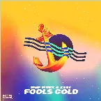 Pochette Fools Gold
