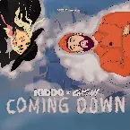 Pochette Coming Down