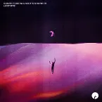 Pochette Levitate