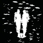 Pochette Ellen Allien Remixes