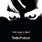 Pochette Bela Lugosi Is Dead (The Hunger mix)