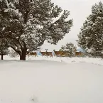 Pochette The (sleigh) ride never ends