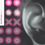 Pochette Electrochronicle