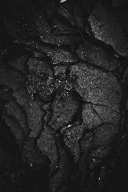 Pochette Our Invisible Intimate Chains Are Like the Coercive Anthropomorphism of a Localnet Artificial Intelligence