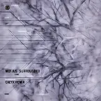 Pochette Surrounded (Calyx remix)