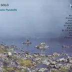 Pochette A Solo