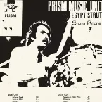 Pochette Egyptian Jazz
