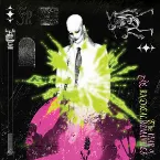 Pochette The Year of the Radical Romantics