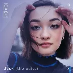 Pochette dusk (the edits)
