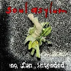 Pochette No Fun Intended