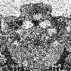 Pochette All Guitars