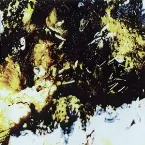 Pochette Gnaw Their Tongues / Lunar Miasma / Mrtyu! / Xela