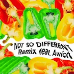 Pochette Not So Different (Remix)