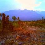 Pochette gmw (guten morgen welt)