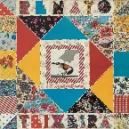 Pochette Um brasileiro errante