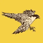 Pochette Live from Rada Studios