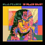 Pochette In Plain Sight