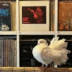 Pochette 2025-08-12: NTS Radio