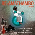 Pochette Re-Amathambo (Remix)