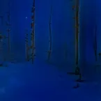 Pochette Variations on a Theme