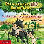 Pochette Das magische Baumhaus, Folge 47: Im Bann des schwarzen Hengstes
