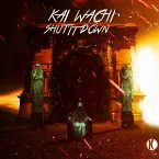 Pochette SHUTITDOWN