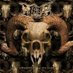 Pochette Awakening of the Liar