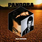 Pochette PANDORA