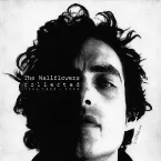 Pochette Collected Live: 1992 - 2005