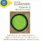 Pochette Choros • 2 / Flor De Tremembé