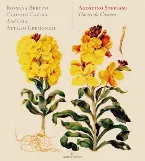 Pochette Duetti da camera