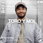 Pochette Elevator Music: Toro y Moi
