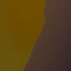 Pochette Night of Dead Faces