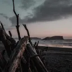 Pochette Driftwood