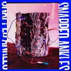 Pochette Forest of Your Problems