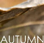 Pochette AUTUMN o3