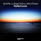 Pochette Perfect Love